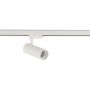 CTLS TINOS LED 20W 3-fazni tokokrog CTLS 20W 3000K bela