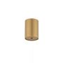 CAMELEON CANOPY E Satine gold