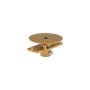 CAMELEON CANOPY F MINI Satine gold