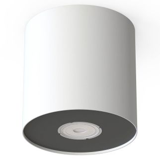 POINT M stropna svetilka GU10 bela/srebrna