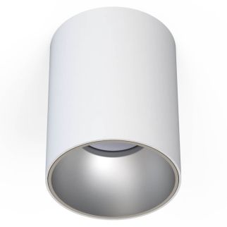 EYE TONE stropna svetilka GU10 bela/srebrna